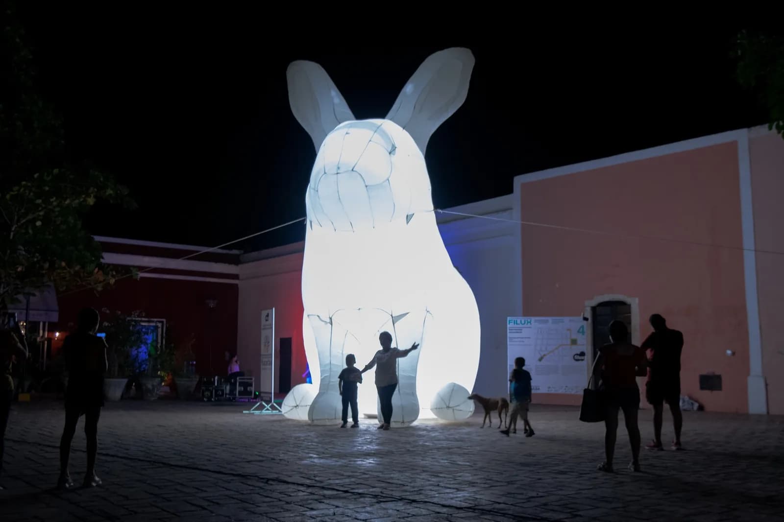 Conejo FILUX 2022