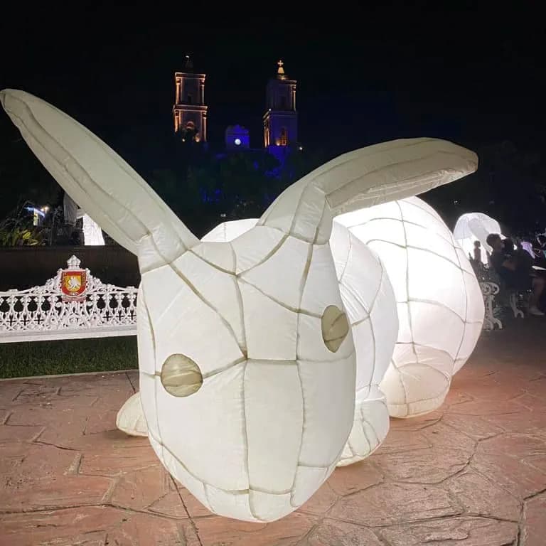 Conejo de FILUX 2022 Valladolid