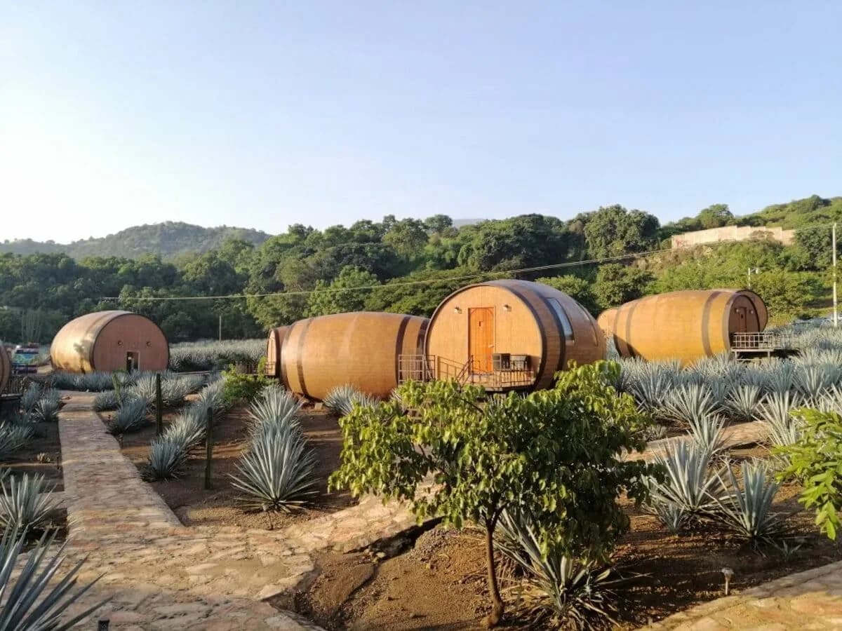 Tequila, foto 2 de 3
