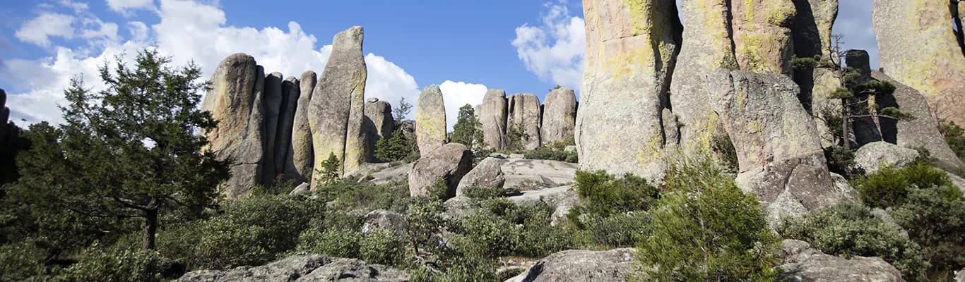 Vista de Creel