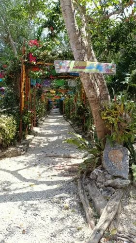 Cenote Calavera, foto 5 de 5