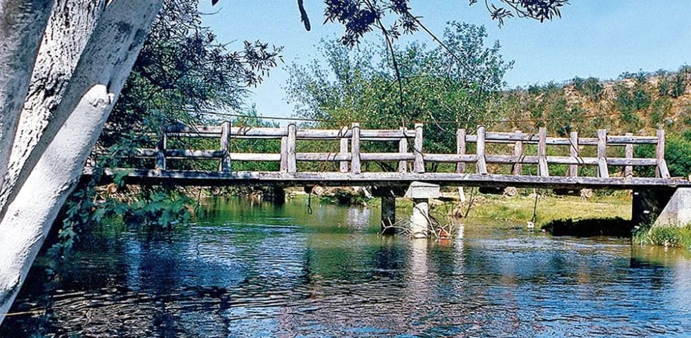 Ciudad Mier, foto 2 de 8