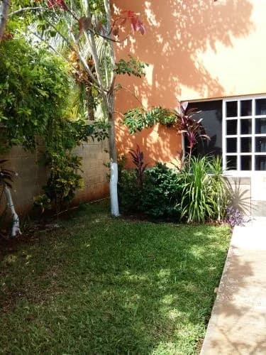 Hotel Mayt, foto 10 de 14