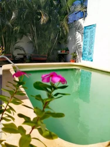 Hotel San Joaquín Palizada, foto 4 de 8
