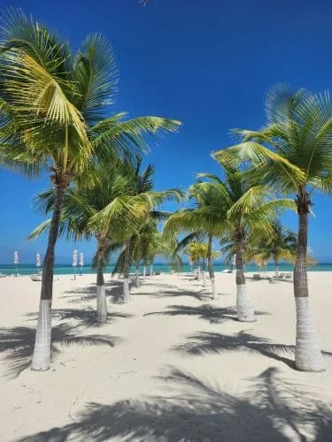 Isla Pasión, foto 7 de 11