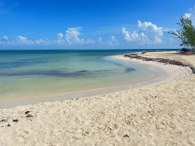 Isla Pasión, foto 6 de 11