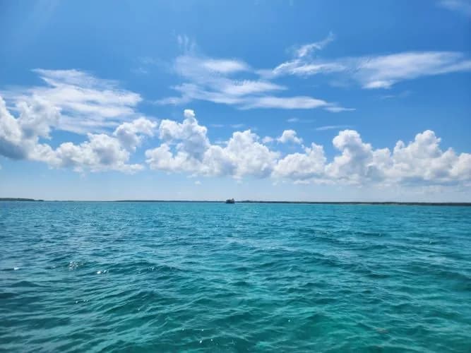 Isla Pasión, foto 5 de 11