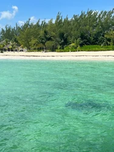 Isla Pasión, foto 4 de 11