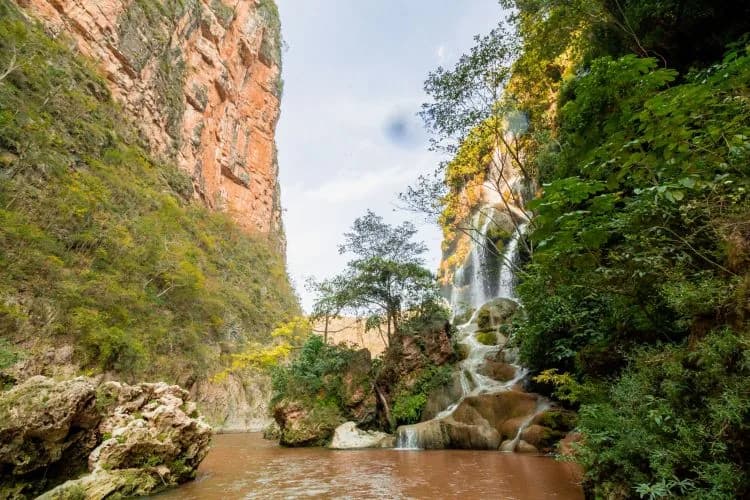 Ocozocoautla de Espinosa, foto 6 de 10