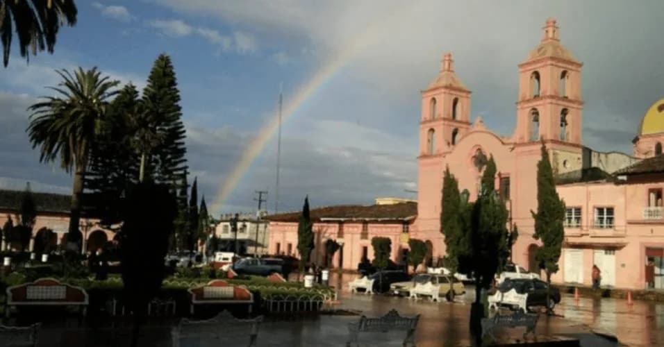 Pinos, foto 2 de 4