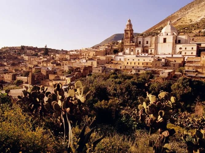 Pinos, foto 1 de 4