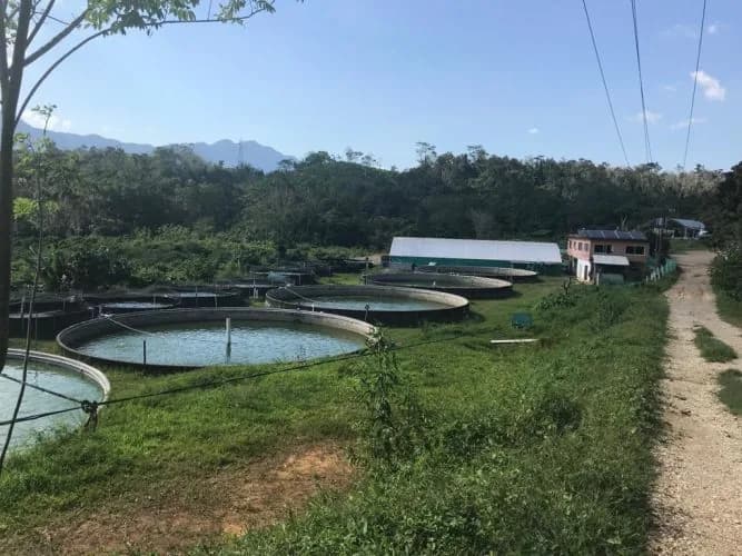 Restaurante»El Gran Peje», foto 5 de 7