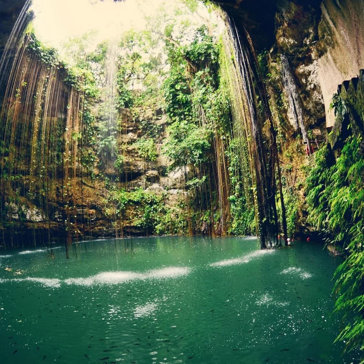Top 5 Cenotes en Yucatán que debes visitar al menos una vez, foto 1 de 5