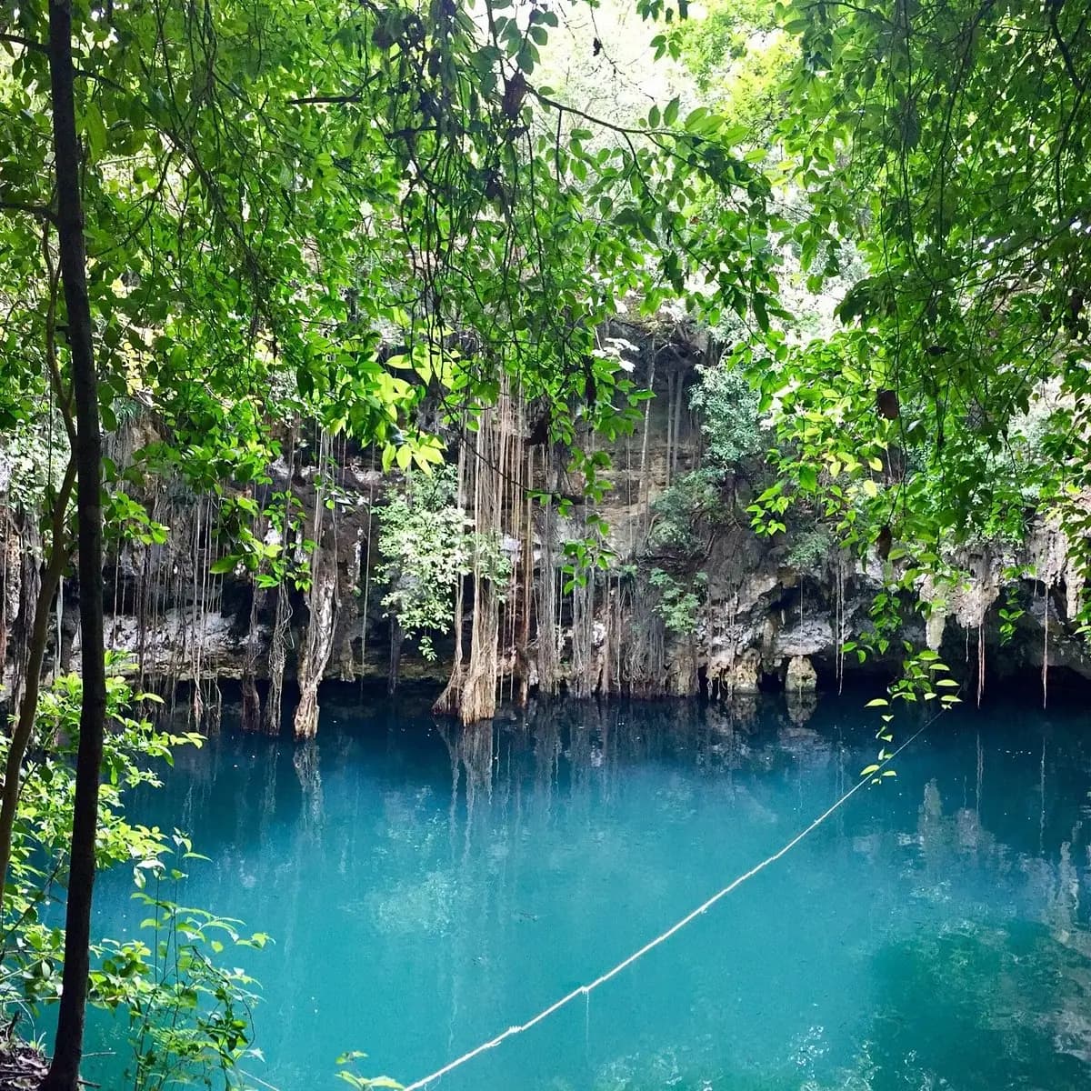 Top 5 Cenotes en Yucatán que debes visitar al menos una vez, foto 4 de 5