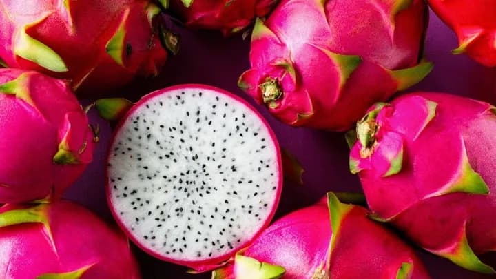 Pitahaya Valley posiciona a Yucatán en el mercado internacional de la fruta del dragón, foto 4 de 8