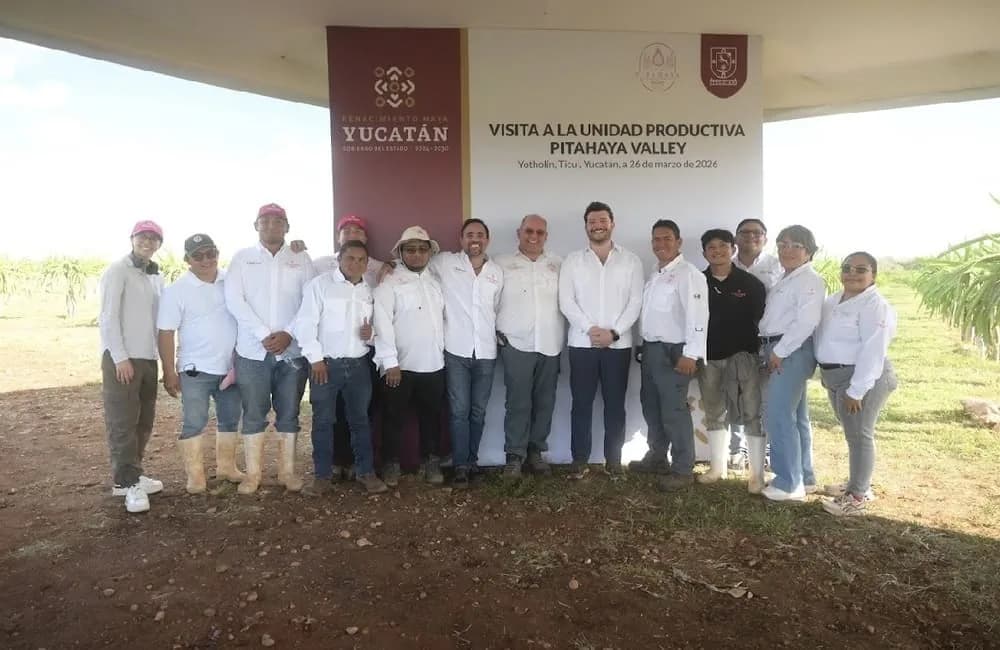 Pitahaya Valley posiciona a Yucatán en el mercado internacional de la fruta del dragón, foto 2 de 8