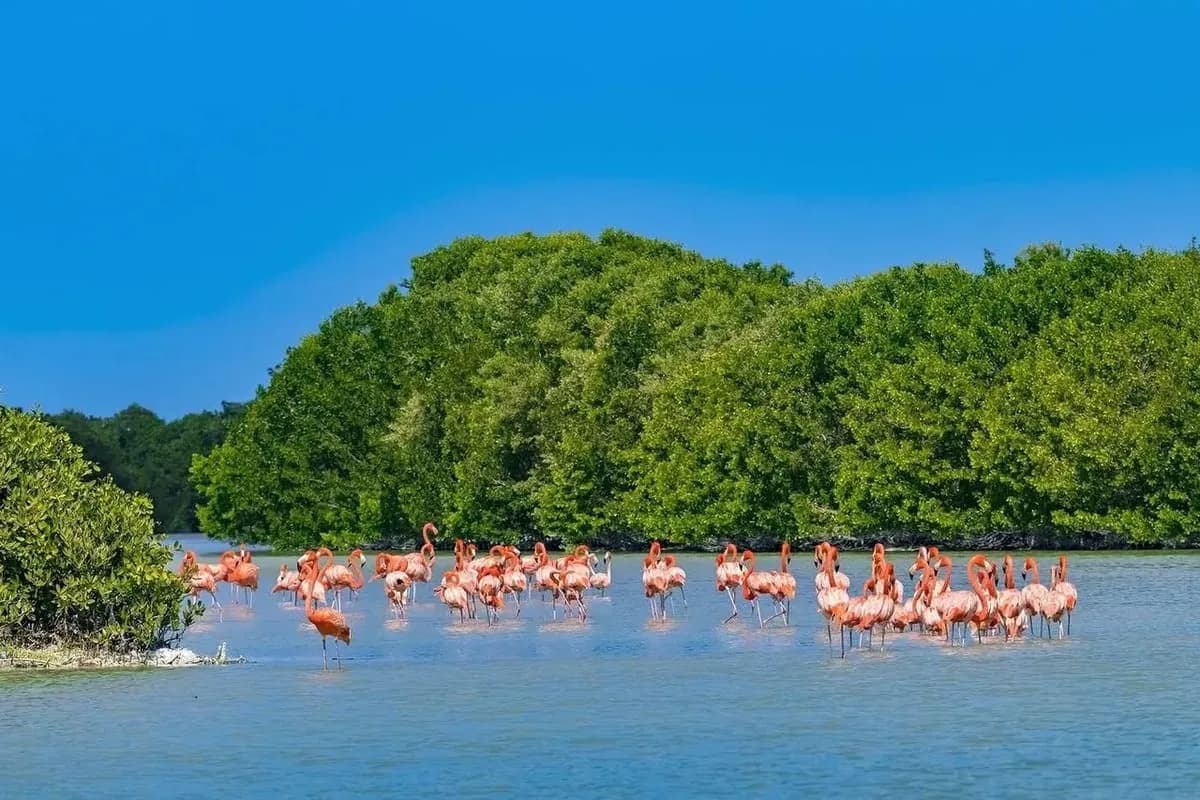 Turismo de naturaleza, lugares para conectar con el lado más auténtico de Yucatán., foto 5 de 17