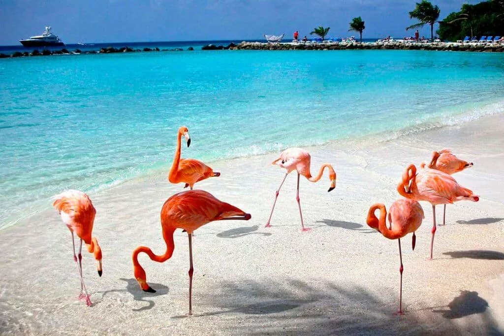 Turismo de naturaleza, lugares para conectar con el lado más auténtico de Yucatán., foto 7 de 17