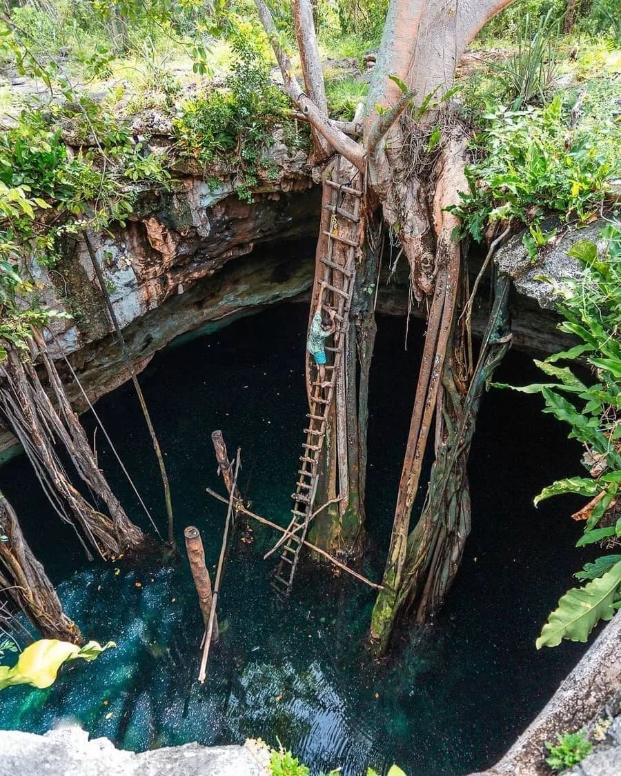 Turismo de naturaleza, lugares para conectar con el lado más auténtico de Yucatán., foto 12 de 17