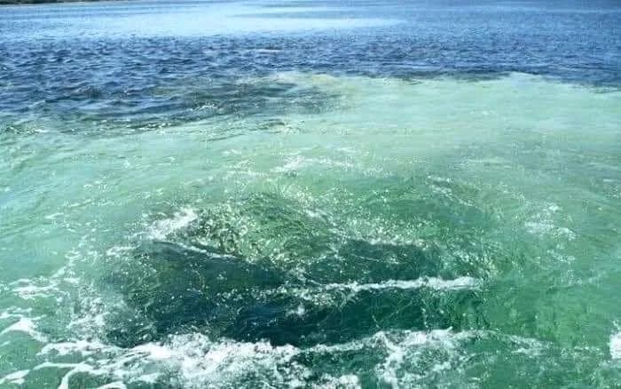 Turismo de naturaleza, lugares para conectar con el lado más auténtico de Yucatán., foto 15 de 17