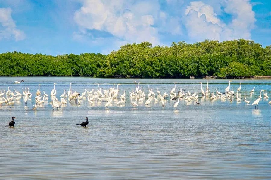 Turismo de naturaleza, lugares para conectar con el lado más auténtico de Yucatán., foto 9 de 17
