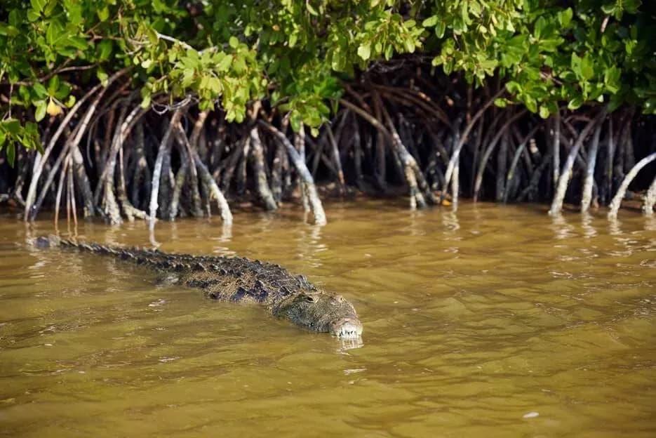 Turismo de naturaleza, lugares para conectar con el lado más auténtico de Yucatán., foto 8 de 17