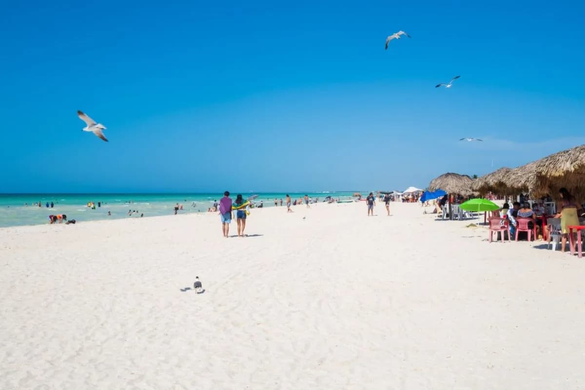 3 playas para escaparte este 1 de mayo y disfrutar el Día del Trabajo, foto 4 de 14