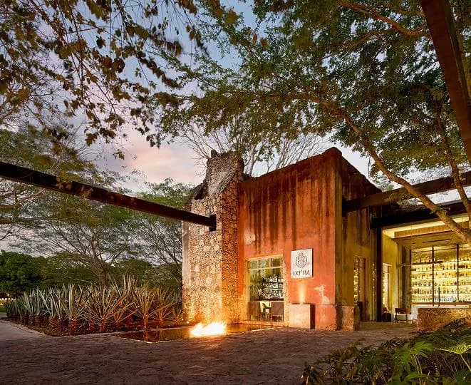 Yucatán hace historia: tres restaurantes obtienen Estrella Michelin 2026, foto 5 de 6