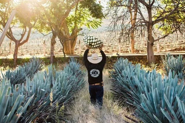 6 Pueblos Mágicos donde septiembre se vive diferente, foto 7 de 19