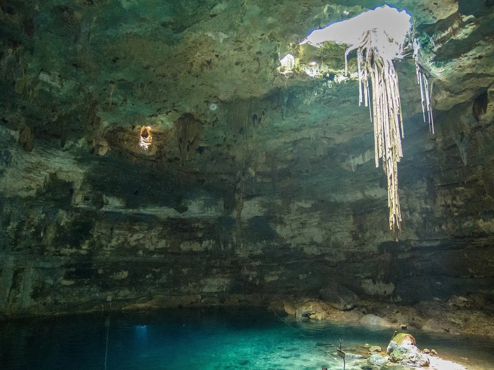 Bóveda del cenote Samulá con raíces colgantes y agua turquesa, cerca de Valladolid, Yucatán