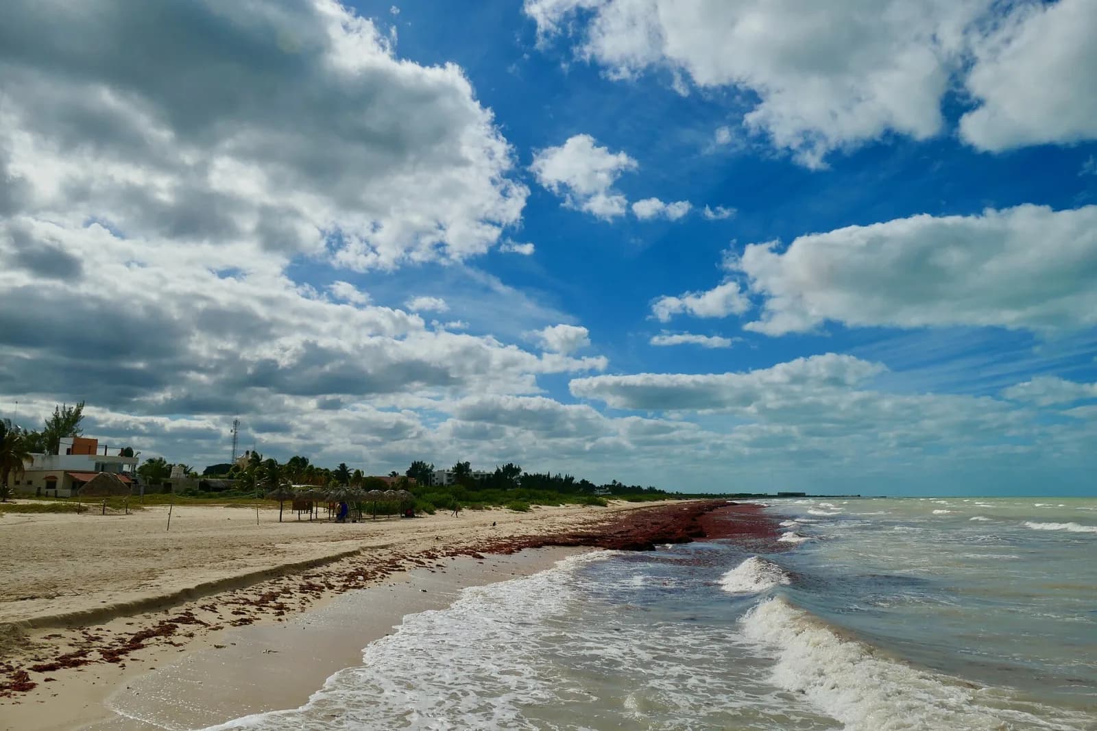 Playa de Sisal con oleaje suave, algas en la orilla y casas frente al mar, Yucatán