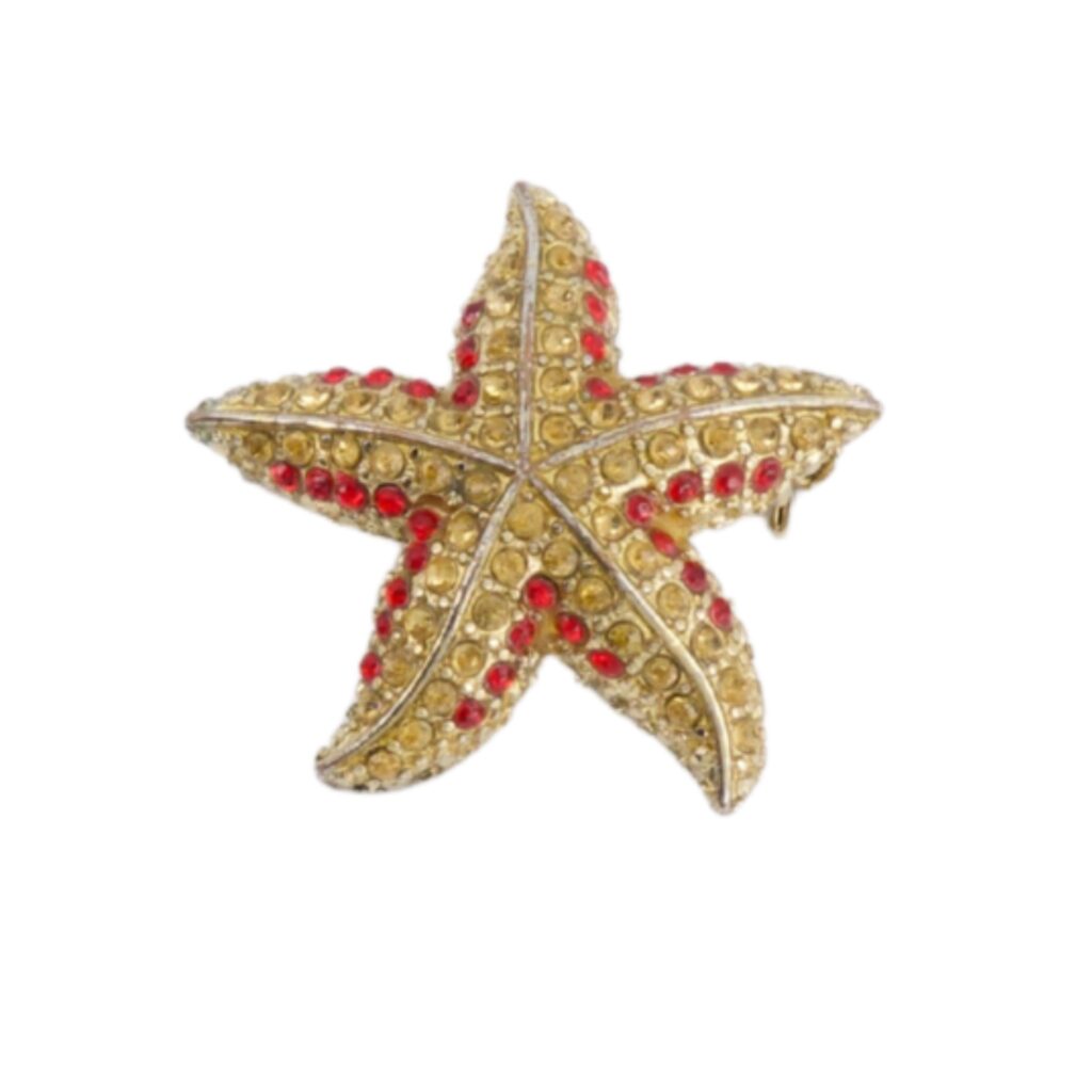 Broche Estrella del Caribe