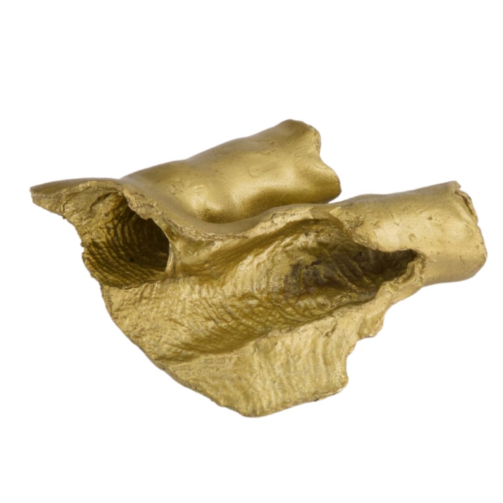 Pieza para la mano (Anillo)